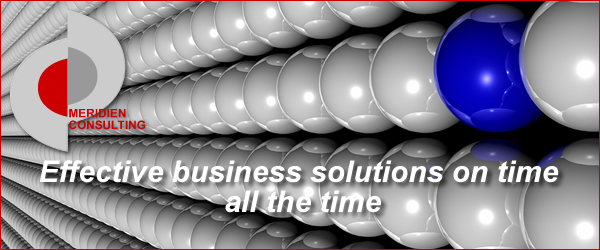 MERIDIEN CONSULTING : Effective solutions on time all the time